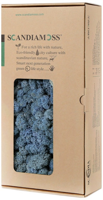 Scandiamoss 薰衣草藍苔蘚 RM500 500g, 1個