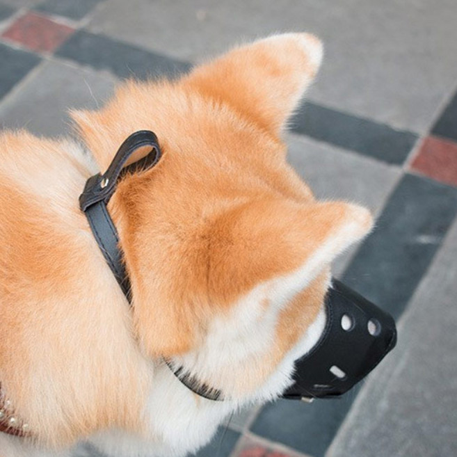 반려동물 훈련용 가죽 입마개 M, 블랙, 1개