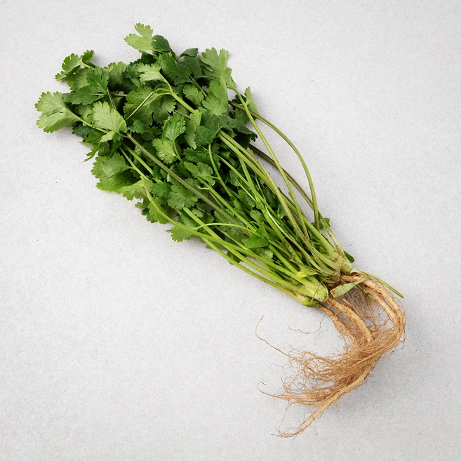 국내산 고수, 30g, 1개 - 쿠팡