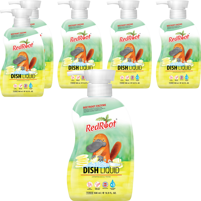 레드루트 주방세정제, 500ml, 6개