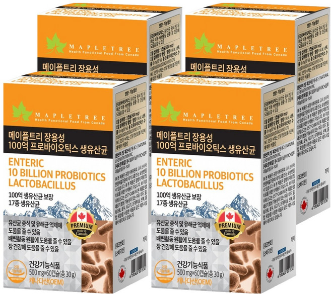 메이플트리 장용성 100억 프로바이오틱스 생유산균, 60정, 4개