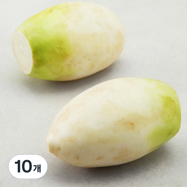 제주 세척 무, 1개입, 10개