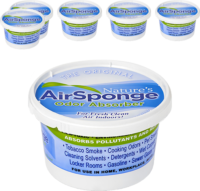 네이처스에어스펀지 오리지널 대형 실내 탈취제 본품, 454g, 6개