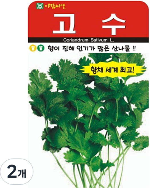아람종묘 고수 씨앗 300립, 2개