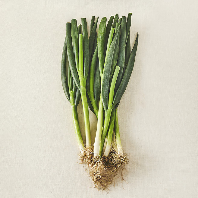 국내산 친환경 흙대파, 800g, 1개