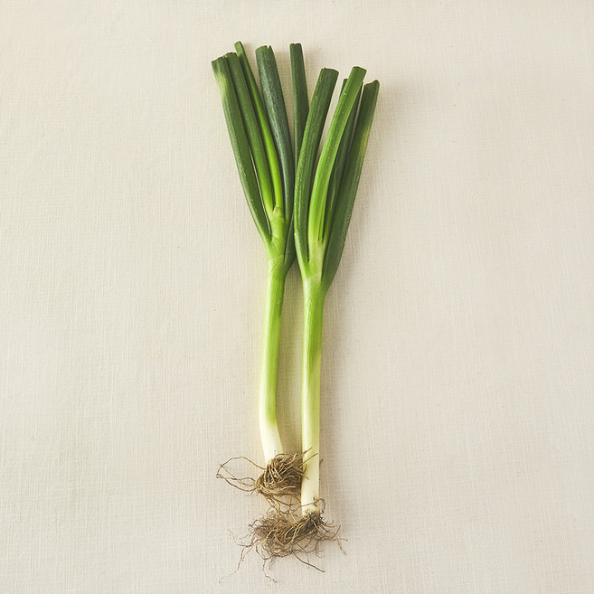 국내산 무농약 대파, 300g, 1개