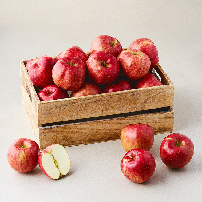 곰곰 안동 당도 선별한 맛있는 사과, 1개, 4.5kg(22~30입)