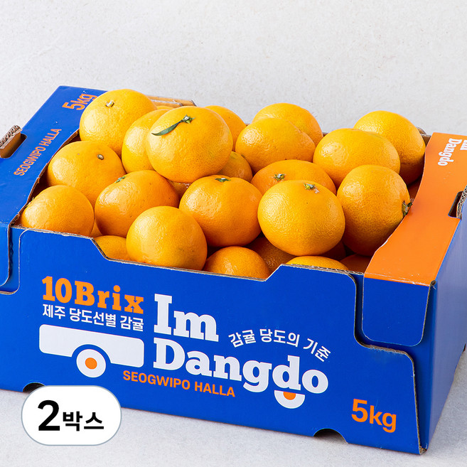 아이엠당도 당도선별 10브릭스 대과 감귤, 5kg, 2박스