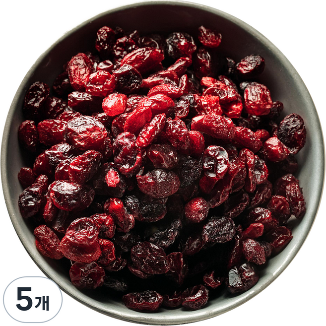 달콤상큼 프리미엄 건 크랜베리, 5개, 300g