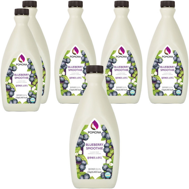 포모나 스무디 시럽 블루베리, 2kg, 6개