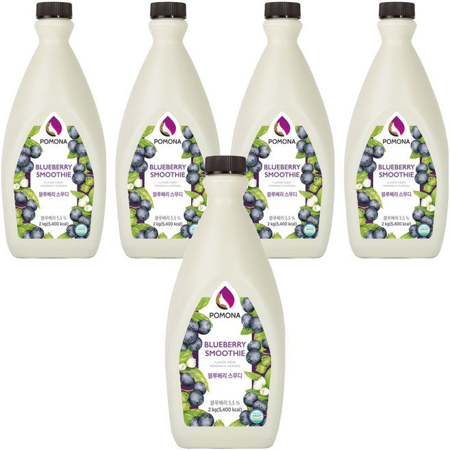 포모나 스무디 시럽 블루베리, 2kg, 5개