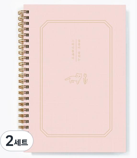 달퐁이네문방구 집중이 잘되는 스터디플래너 + 하루 일과표 스티커 세트, 01 샴페인 핑크(플래너), 2세트