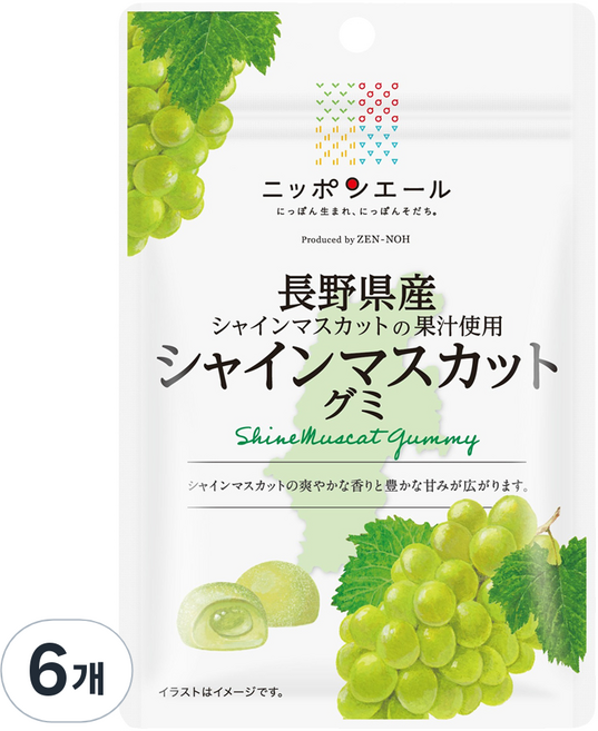 닛폰에일 JA전농젤리 나가노 샤인머스캣 구미, 40g, 6개