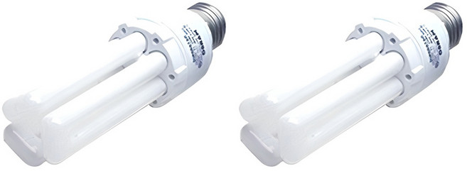 오스람 안정기내장형램프 20W E26, 주광색, 2개