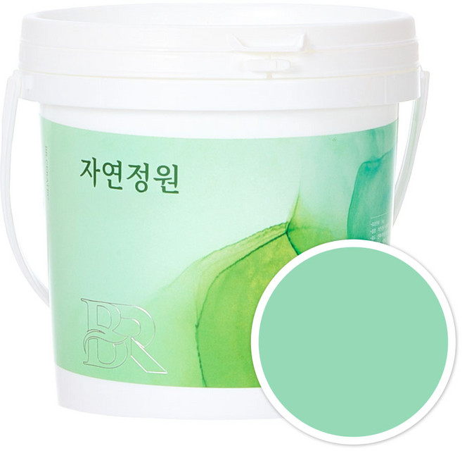 자연정원 친환경 셀프 벽지 규조토 황토 베란다 가구 곰팡이 결로방지 수성 페인트, BR030시폼그린, 1kg, 1개