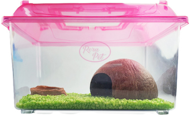 로라펫 소라게 크랩 키우기 세트, 애플그린, 1개