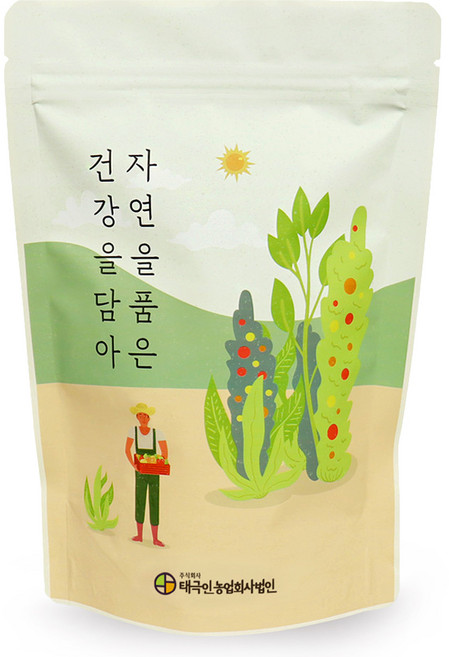 자연닮음 국내산 오미자, 100g, 1개