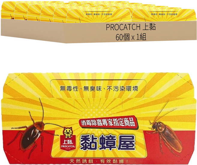 PROCATCH 上黏 黏蟑屋 10片, 6組