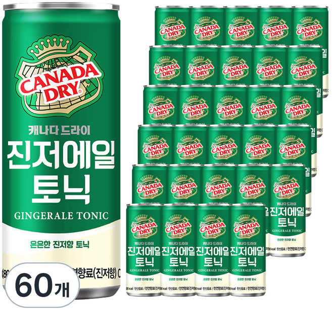 캐나다드라이 진저에일 토닉, 250ml, 60개