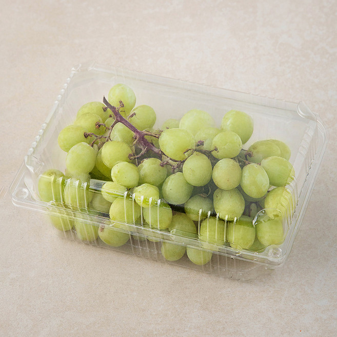 곰곰 칠레산 씨없는 청포도, 900g, 1개