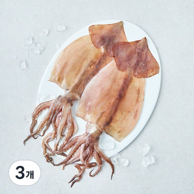 원양산 손질 오징어 2미 (냉장), 3개, 320g