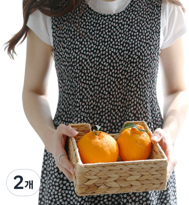 한스빌 쉬폰 마티니 앞치마, 블랙, 2개