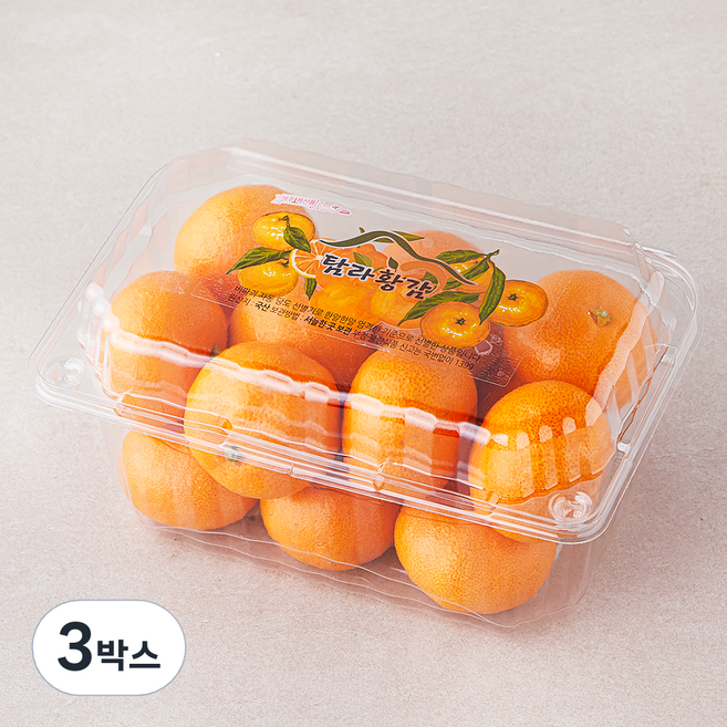 탐라황감 당도선별 10brix 감귤, 800g(로열과), 3개