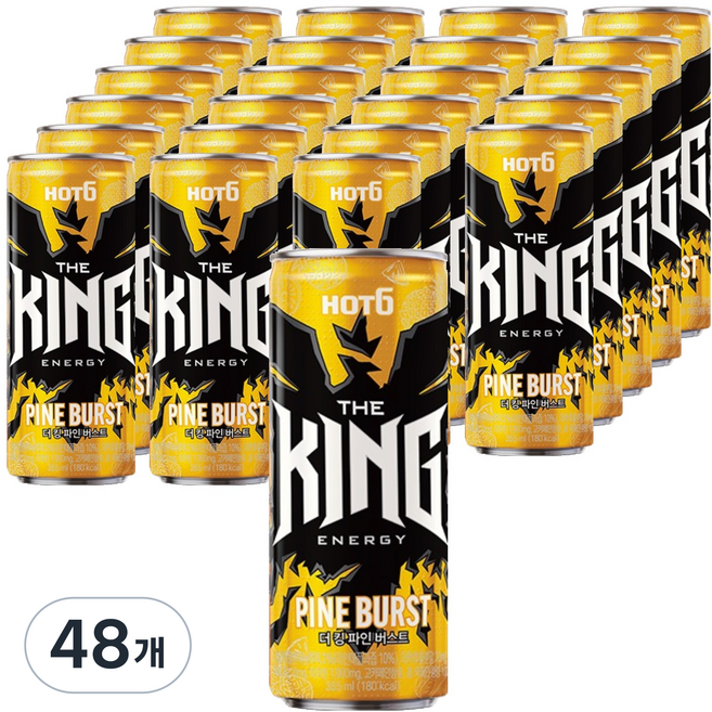 핫식스 더 킹 파인버스트, 48개, 355ml