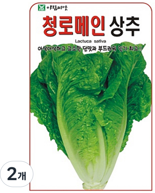아람종묘 청로메인상추 씨앗, 2개