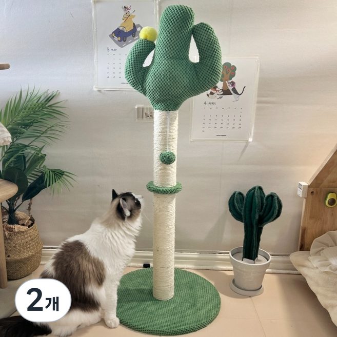 펫카 고양이 기둥형 선인장 수직 스크래쳐, 그린, 2개