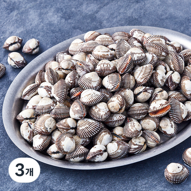 아라보감 산지직송 생물 새꼬막 (냉장), 3개, 2kg