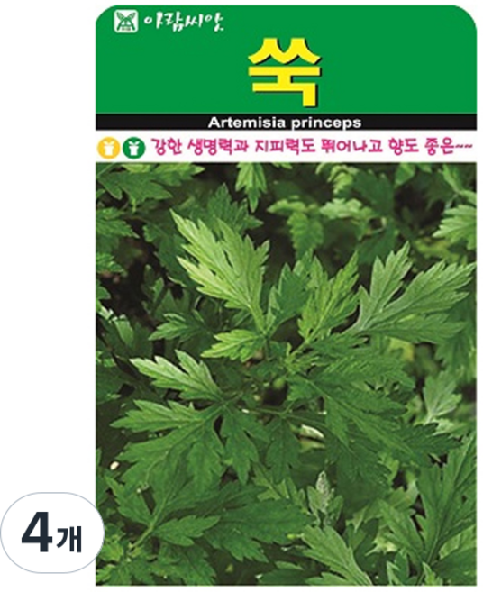 아람종묘 야생쑥 산쑥 씨앗, 4개