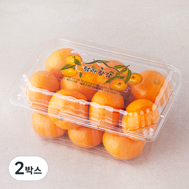 탐라황감 당도선별 10brix 감귤, 800g(로열과), 2개