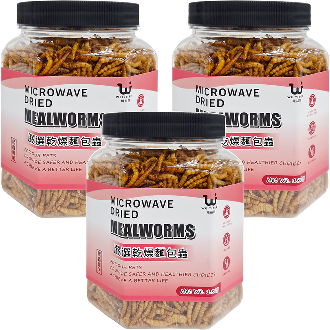 WEIYITER 維益特 台灣公司貨 嚴選乾燥麵包蟲 爬蟲專用, 180g, 3罐