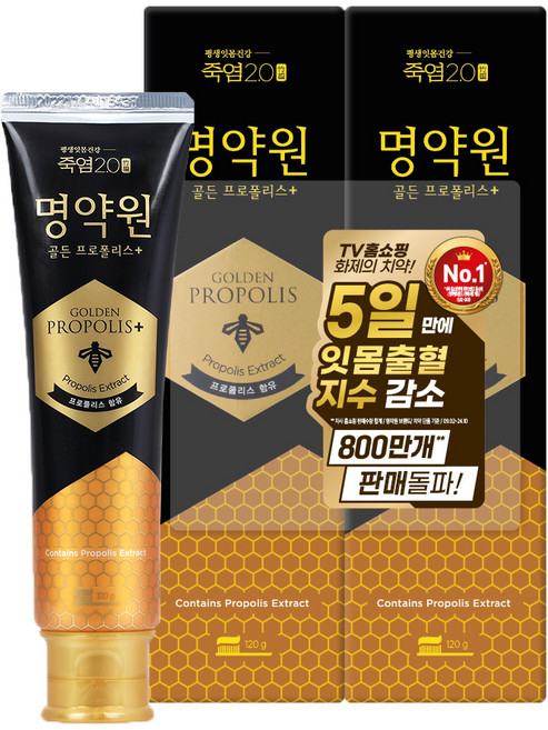 죽염 명약원 골든프로폴리스 잇몸 치약 플러스, 120g, 2개