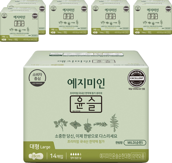 예지미인 윤슬 순한순면 생리대 날개형, 대형, 14개입, 6개