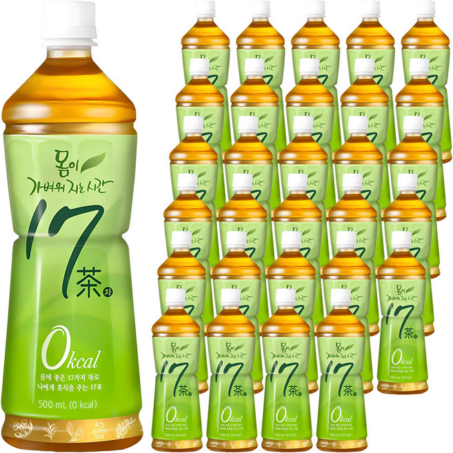 17차 몸이 가벼워지는 시간, 500ml, 100개
