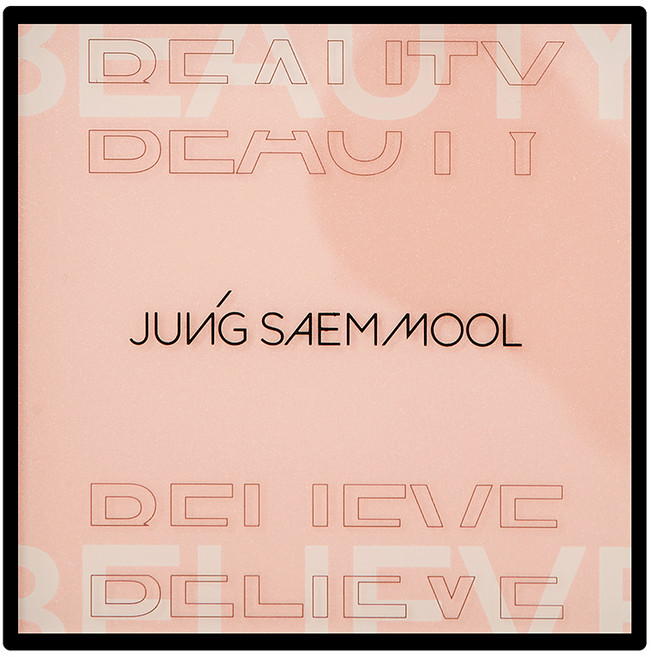 정샘물 아티스트 아이 팔레트, 소프트 누드, 1개