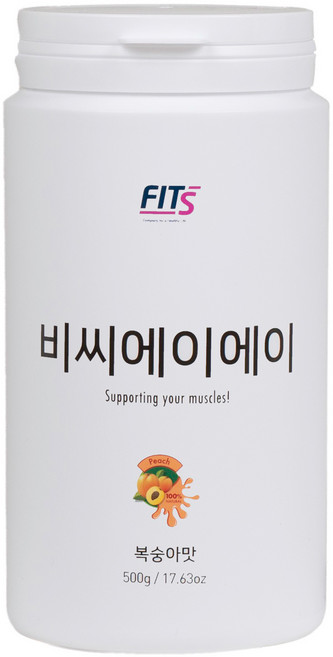 핏츠 단백질 보충제 쉐이크 BCAA 복숭아 핏츠 + 쉐이커 + 스푼 + 파우치, 500g, 1개