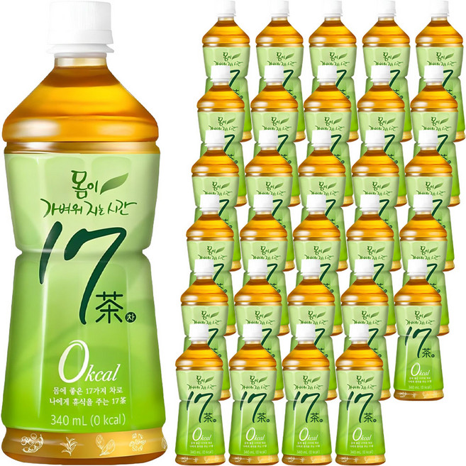 17차 몸이 가벼워지는 시간 차음료, 340ml, 40개
