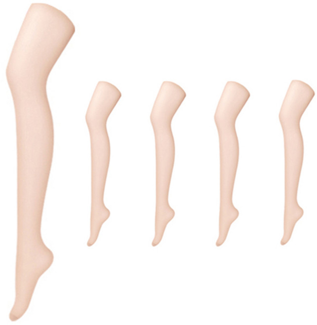 판도라by비비안 여성용 고탄력 팬티 스타킹 20D 5p