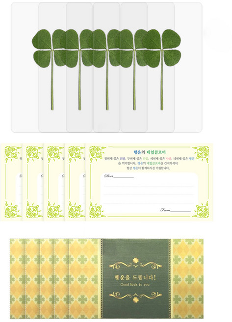 럭키심볼 행운의 네잎클로버생화 코팅카드 + 봉투 + 메세지카드, 혼합색상, 5세트