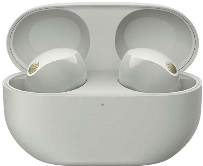 SONY 索尼 無線主動降噪藍芽耳機, WF-1000XM5, 鉑金銀