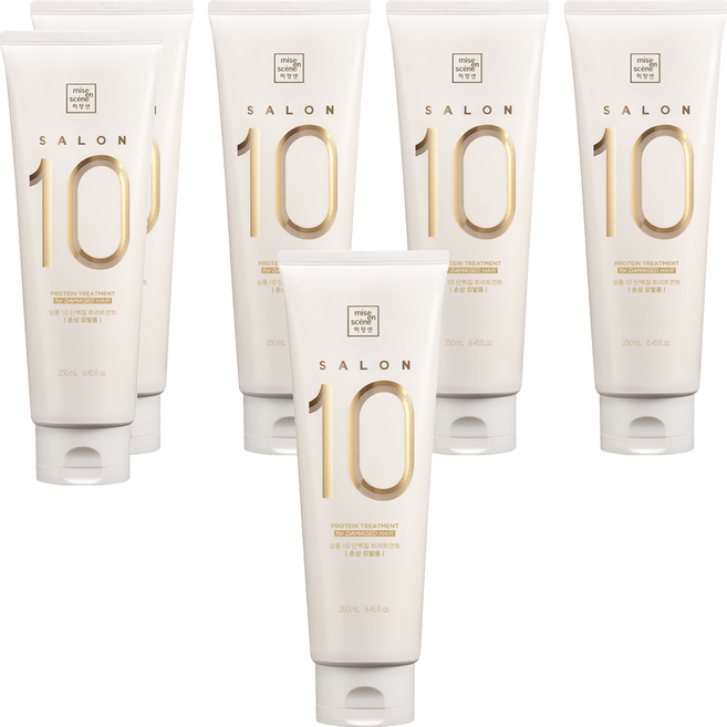 미쟝센 살롱10 단백질 트리트먼트 손상모발용, 250ml, 6개