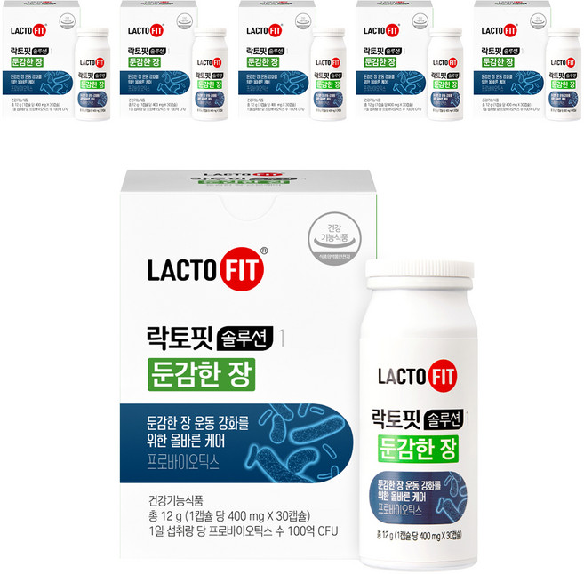 락토핏 솔루션 1 둔감한 장 유산균 12g, 30정, 6개