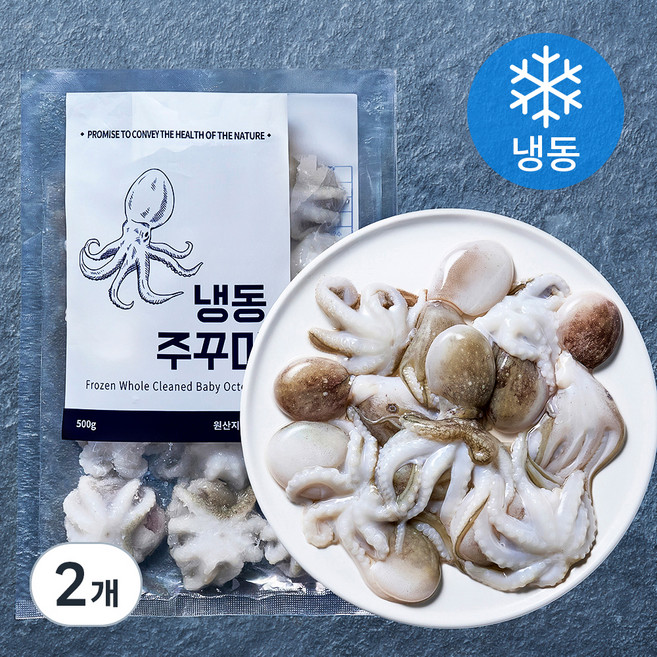 바이오션 주꾸미 (냉동), 500g(10~15마리), 2개