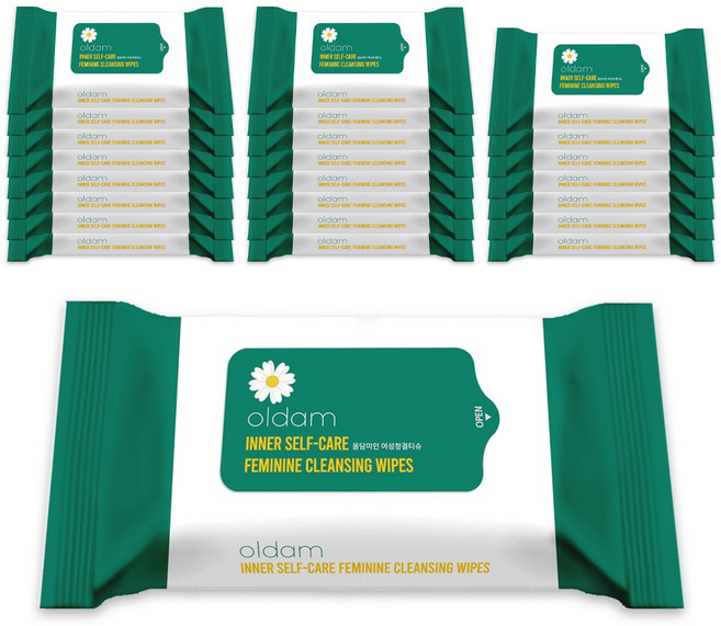 올담 미인 여성청결티슈 휴대형, 90g, 24개