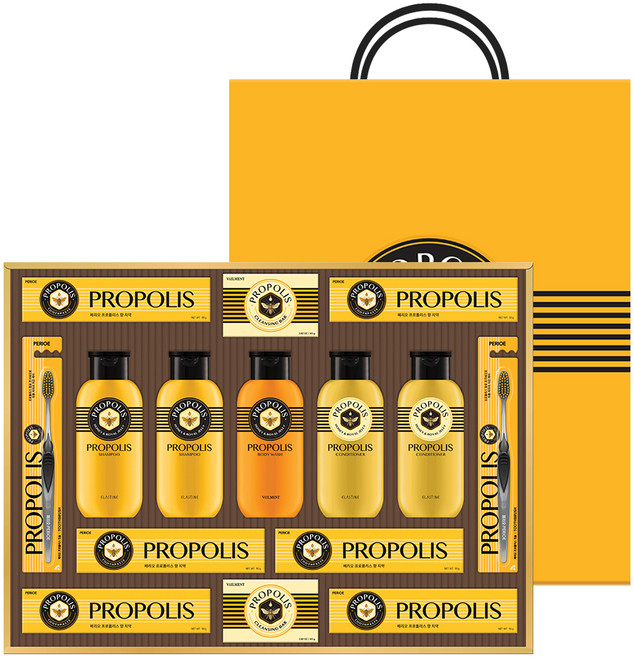 LG생활건강 선물세트 프로폴리스 A호 + 쇼핑백, 1세트