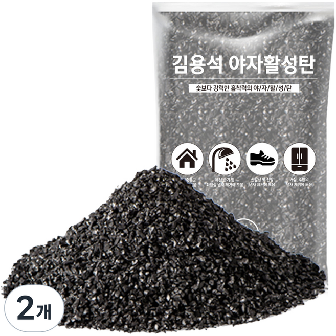 김용석생활연구소 야자활성탄 공기정화 실내 탈취제 본품, 1kg, 2개