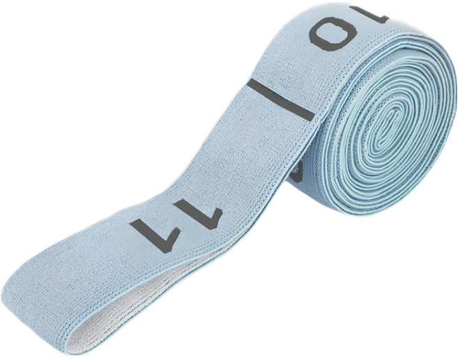 MICHAEL FITNESS 麥克健身 數字拉力帶 11段體式 月光藍, 1個